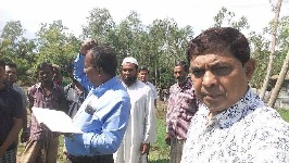 রাজস্বখাতের আওতায় রোপা আউশ ধানের চাষ